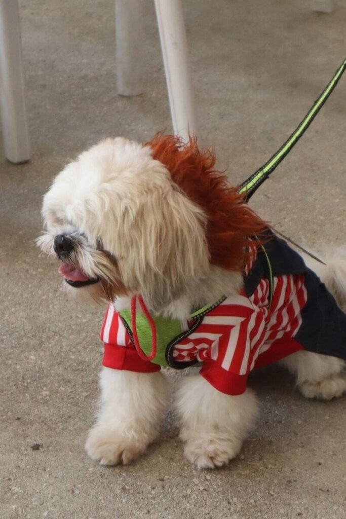 seaside rotary yappy hour 2024