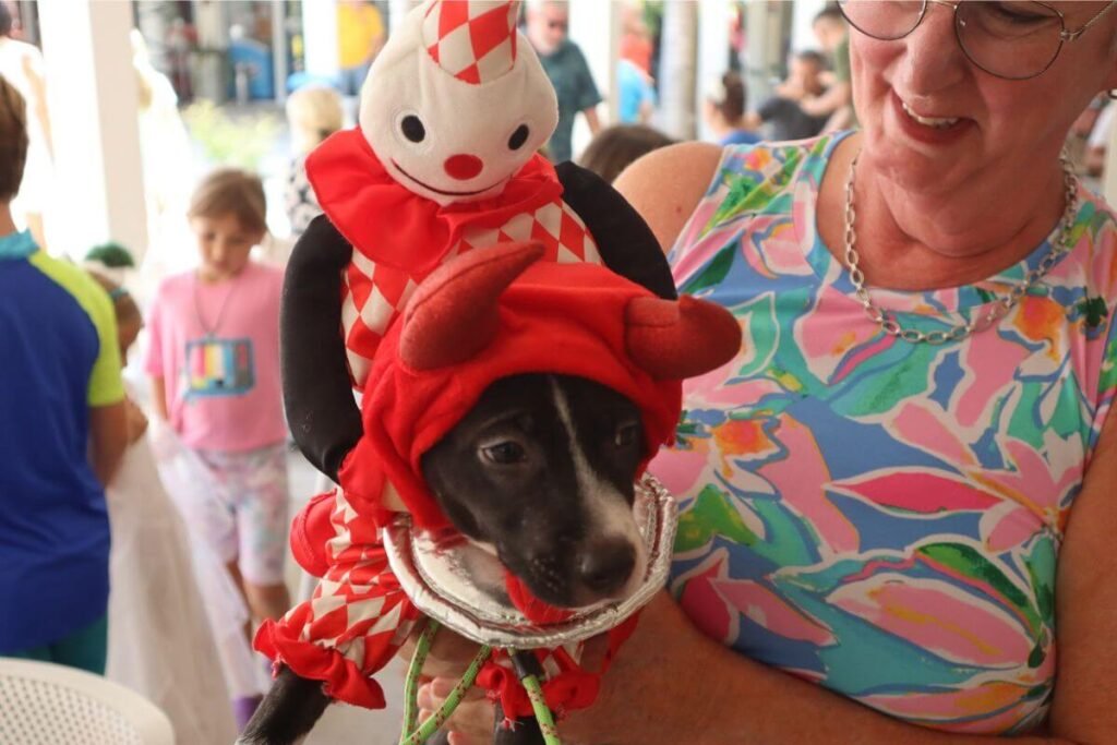 seaside rotary yappy hour 2024