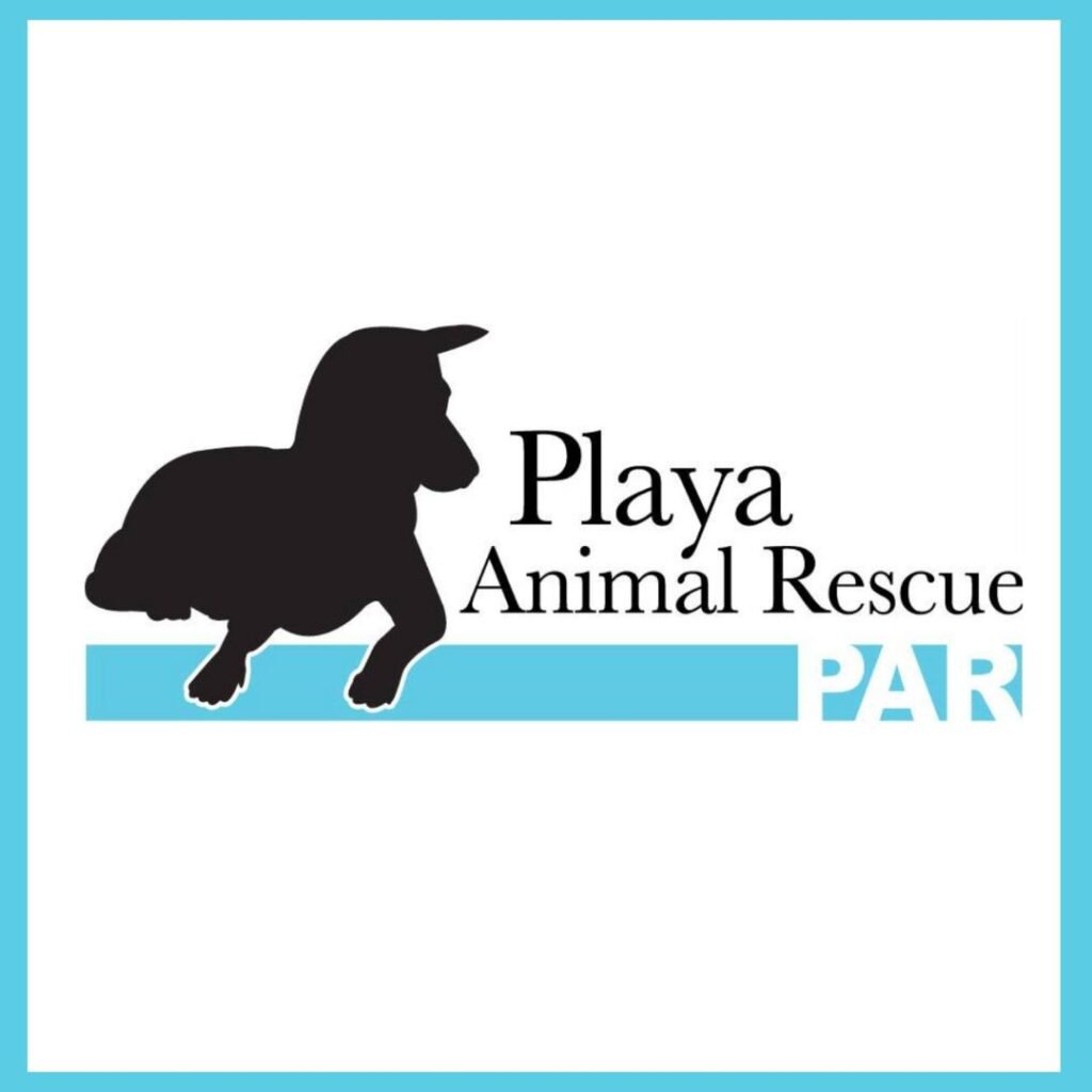 Playa Animal Rescue